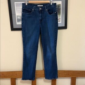 Levis Classic Straight Jeans, Size 10